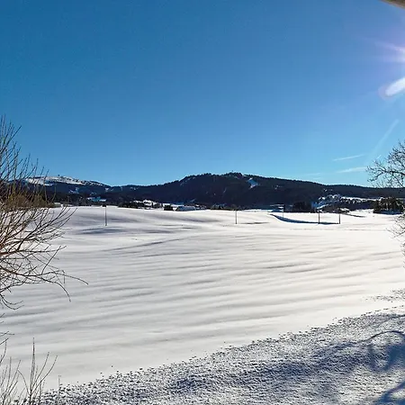 Maison Idealement Placee Vue Magnifique, Depart Ski De Fond/randonnee Depuis Le Jardin Holiday home