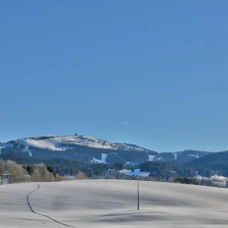 Maison Idealement Placee Vue Magnifique, Depart Ski De Fond/randonnee Depuis Le Jardin Holiday home *